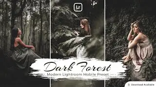 Dark Forest | Lightroom editing | Lightroom Mobile Preset Free DNG