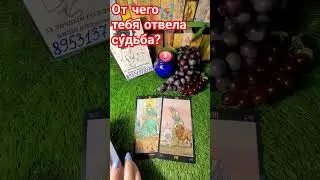 ОТ ЧЕГО ТЕБЯ ОТВЕЛА СУДЬБА ⁉️ 