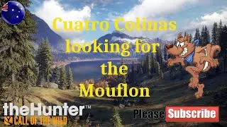 Looking for the Iberian Mouflon. theHunter: call of the Wild