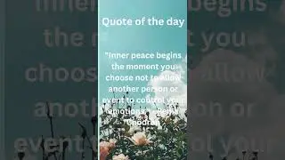 Peace Quotes
