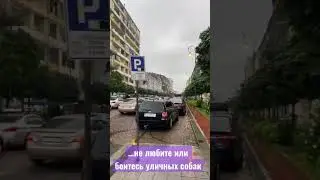 Кому не подойдёт Батуми | Минусы Батуми | переезд в Батуми
