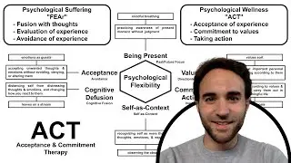 Acceptance & Commitment Therapy Overview