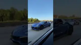 Porsche & Lamborghini 