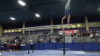Luke Esparo - Parallel Bars - 2020 Winter Cup Jr. Prelims and Elite Team Cup