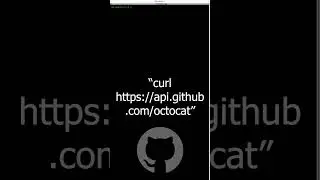 GitHub's Octocat Easter Egg! 
