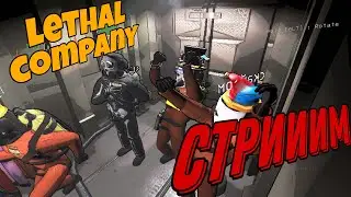 Играем в летал компани😎😎😎