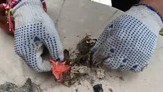 Магия с мъртва вода.Магия с вода от мъртвец.Намерих магия.Черна магия за смърт със сапун.Вуду магия.