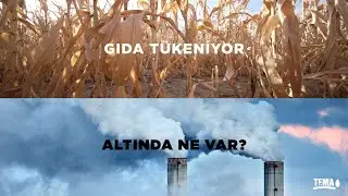 Gıda Tükeniyor, Altında Ne Var?