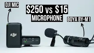 Can a $15 Mic Compete with a $250 Mic?