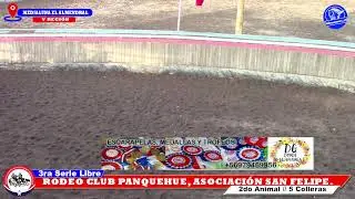 3RA SERIE LIBRE,  RODEO CLUB PANQUEHUE, ASOCIACION SAN FELIPE, MEDIALUNA EL ALMENDRAL
