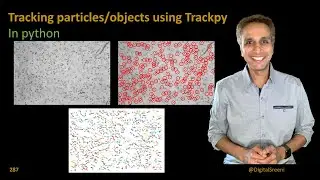 287 - Tracking particles and objects using Trackpy in python