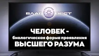 #БлагоВест