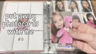 photocard organisation #5 ♡ {bts, itzy, stayc, woo!ah!, iz*one, and more }