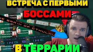 Начинаем бить боссов в Infernum Calamity Terraria