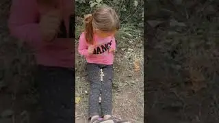 Girl bitten by squirrel while feeding them in Sault Ste. Marie