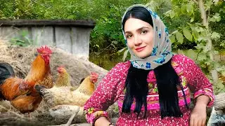 Cooking Iranian Authentic Food | Village Lifestyle of Iran