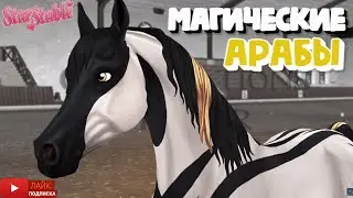 Магические АРАБЫ в Star Stable | Magic Arabians