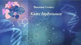 Биология 7 кл Пасечник $32 Класс двудольные