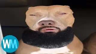 Top 5 Lightskin stare