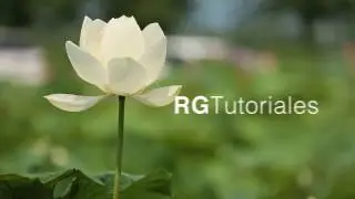 Rastrear movimiento y vincular texto en After Effects - Tutoriales de After Effects en español