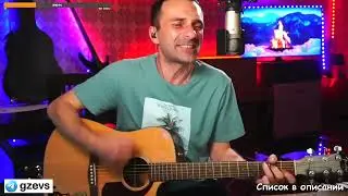 Порнофильмы - Зелёные стёкла / кавер (by Grisha Zevs)