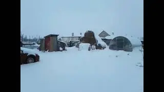Как правильно доить козу?🐐