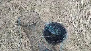 Рыбалка 2023!!! Проверяю верши в камышах!!!