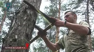 Фахівці оцінюють ліс – як у нас досліджують насадження, що проходить один раз на 10 років