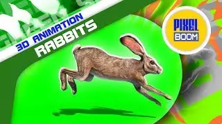 Green Screen Group of Rabbits Walk Jump - PixelBoom 3D Animations