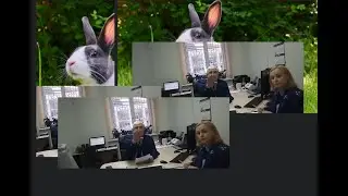 "Мы стали более открытыми" - говорил прокурор Брянской области,  выводи её а то ещё 15 суток дам.
