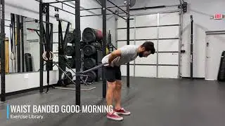 Waist Banded Good Morning