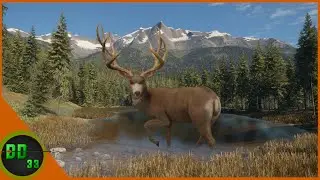 The Coolest Looking TruRACS Yet! Call Of The Wild