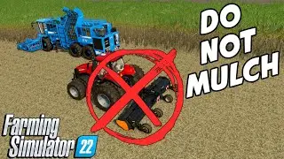 How To Get Max Yield On Regrown Sugarcane | FS22