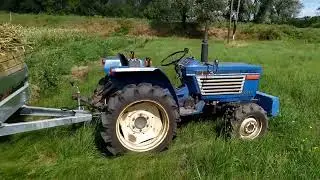 Digging garlic 2023. How it was and what came of it