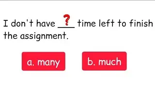 MANY VS MUCH GRAMMAR QUIZ FOR BEGINNER. CAN YOU GET A PERFECT SCORE?