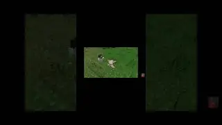 Клайп живодер! 