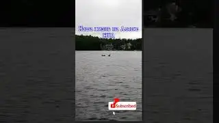 Аляска Гагары на Рыбалке Анкоридж США