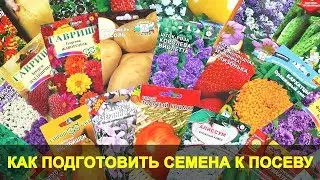 Как Подготовить Семена к Посеву на Рассаду. Как Провести Предпосевную Подготовку Семян.