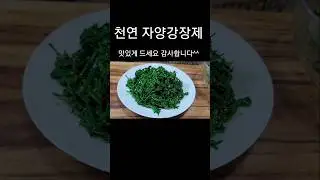 💥천연 자양강장제 부추 이렇게 드세요 #shorts