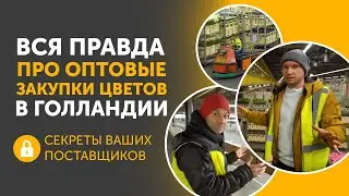 Как закупать цветы напрямую. Обзор Голландского и мирового цветочного рынка