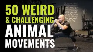 50 Weird and Challenging Animal Movements (Exercises) To Apply To Your Training