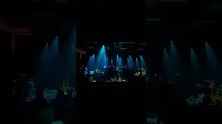 Проверка света 🤘 Красивое шоу?