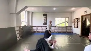 Агибалов О.В. 5 Дан, Шидоин. Айкидо Биранкай - короткая демонстрация