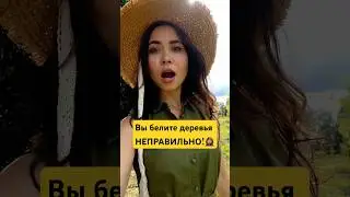 Главная ОШИБКА при побелке деревьев🤦‍♀️