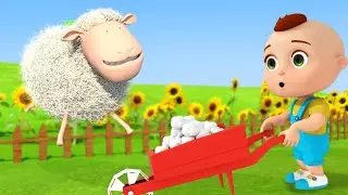 Baa Baa Ovejita Negra | Baby Berry - Español - Canciones Infantiles