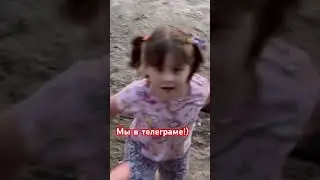 Купаются все! #животныесмешные #пляж