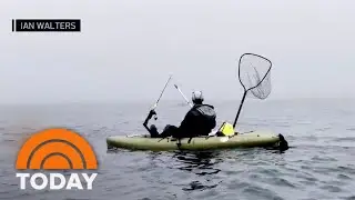 Kayakers’ close encounter with great white shark caught on camera