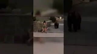 Нарвалась На Медведя Прямо в Городе