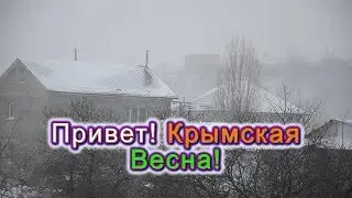 Привет!Крымская Весна!  1 марта 2018г. Вид с окна.