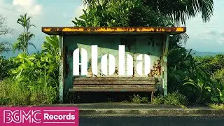 Hawaiian Music Vibes | Enhance Your Workday with Calming Sounds for Productivity